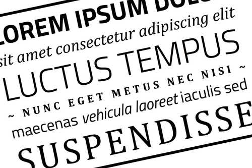 Image 1 of project 'Studentenraad Universiteit van Amsterdam'