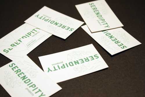 Image 0 of project 'Serendipity Projects'