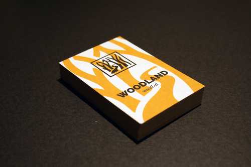 Image 2 of project 'Woodland Analytics'