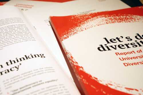 Image 2 of project 'Diversity Commission'