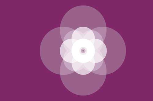 Image 4 of project 'Atelier voor Levenskunst'