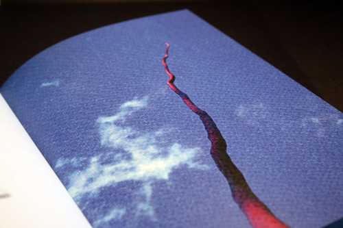 Image 0 of project 'One Year to Celebrate Forty'