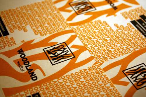 Image 3 of project 'Woodland Analytics'