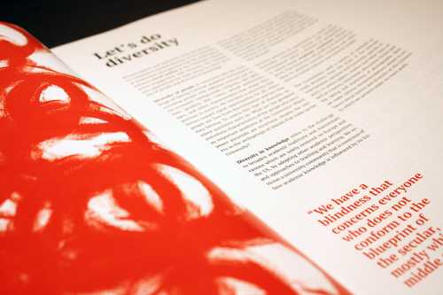 Image 3 of project 'Diversity Commission'