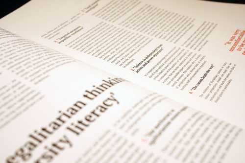 Image 4 of project 'Diversity Commission'