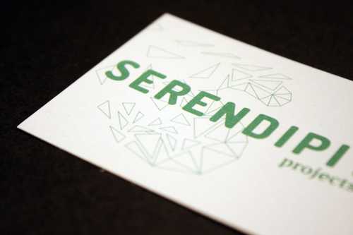 Image 1 of project 'Serendipity Projects'